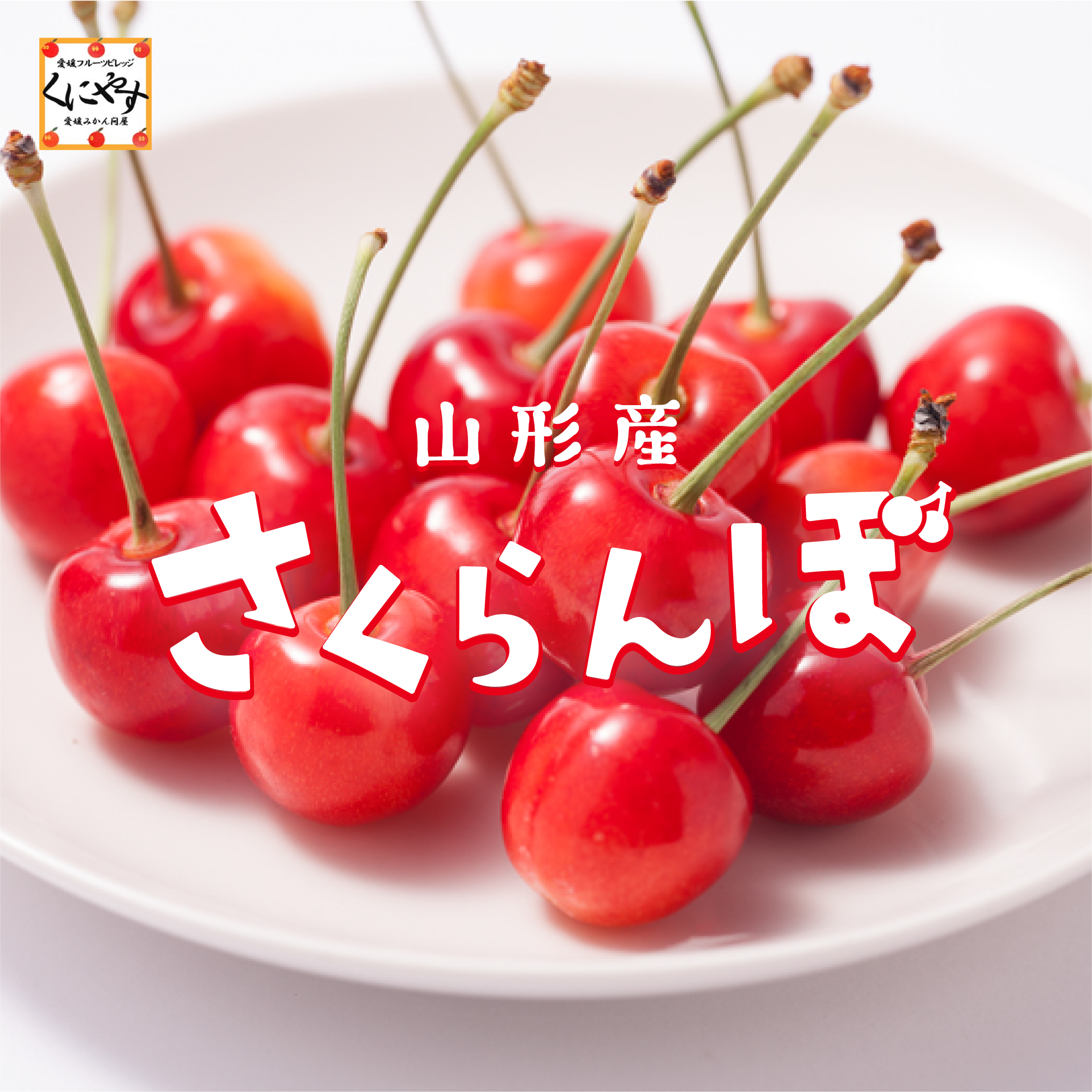 さくらんぼイメージ2