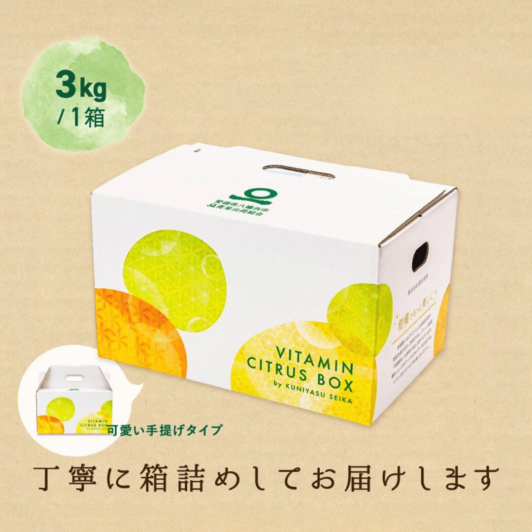 梱包