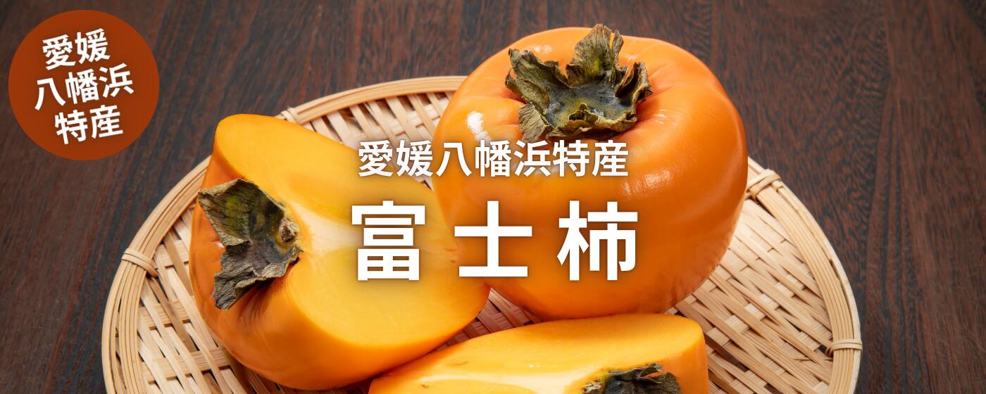 国内最大級の大きさ！愛媛県産富士柿は上品な甘みが特徴の高級柿です。