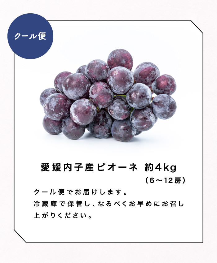 商品ラインナップ