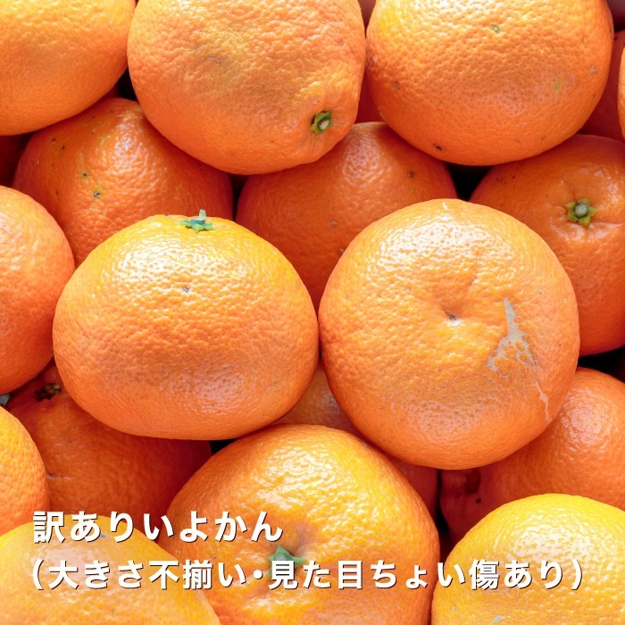 内袋をむいて、果肉だけをお召し上がりください