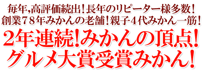 訳ありみかん10 送料無料 訳あり 愛媛西宇和産みかん 訳あり10キロ
