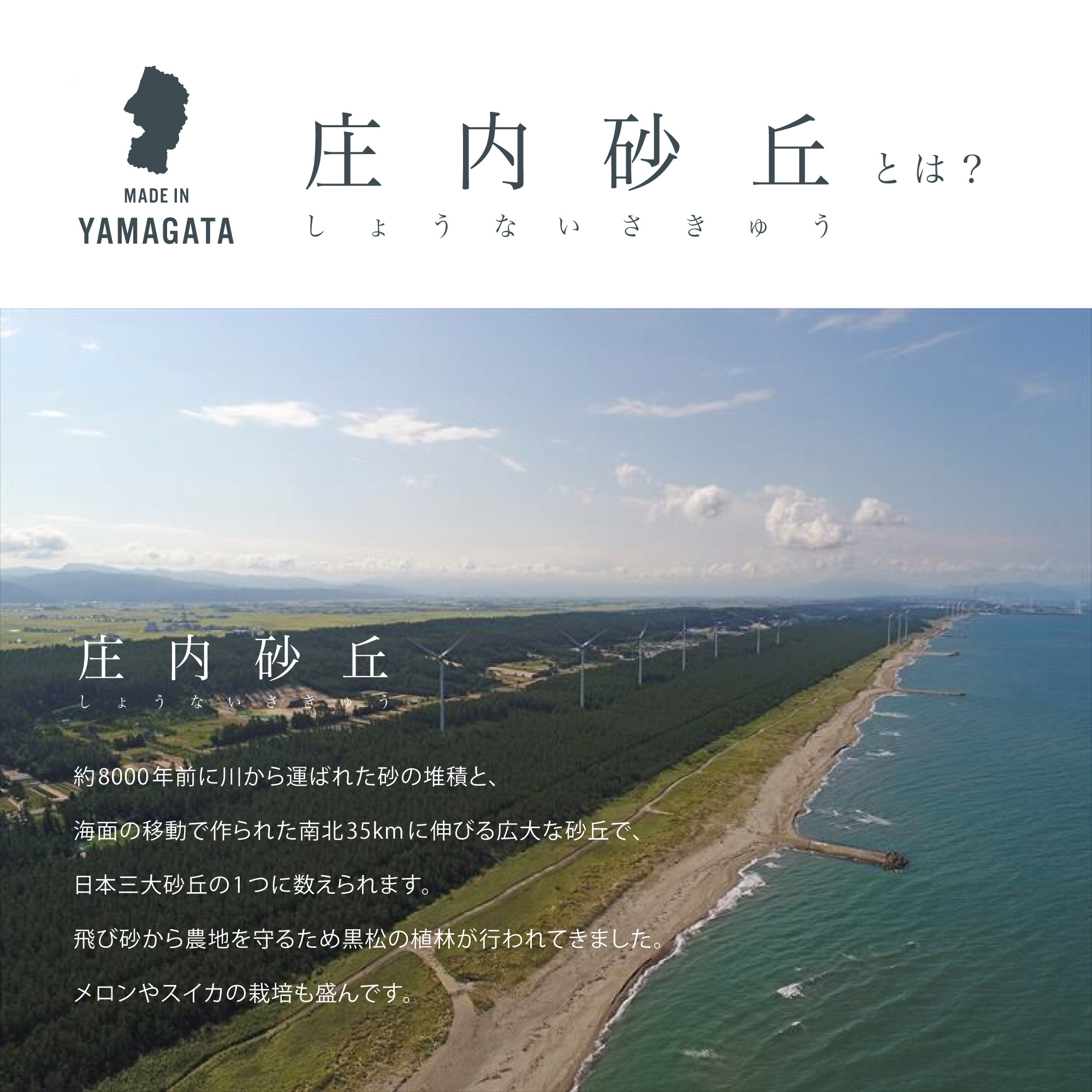 庄内砂丘について
