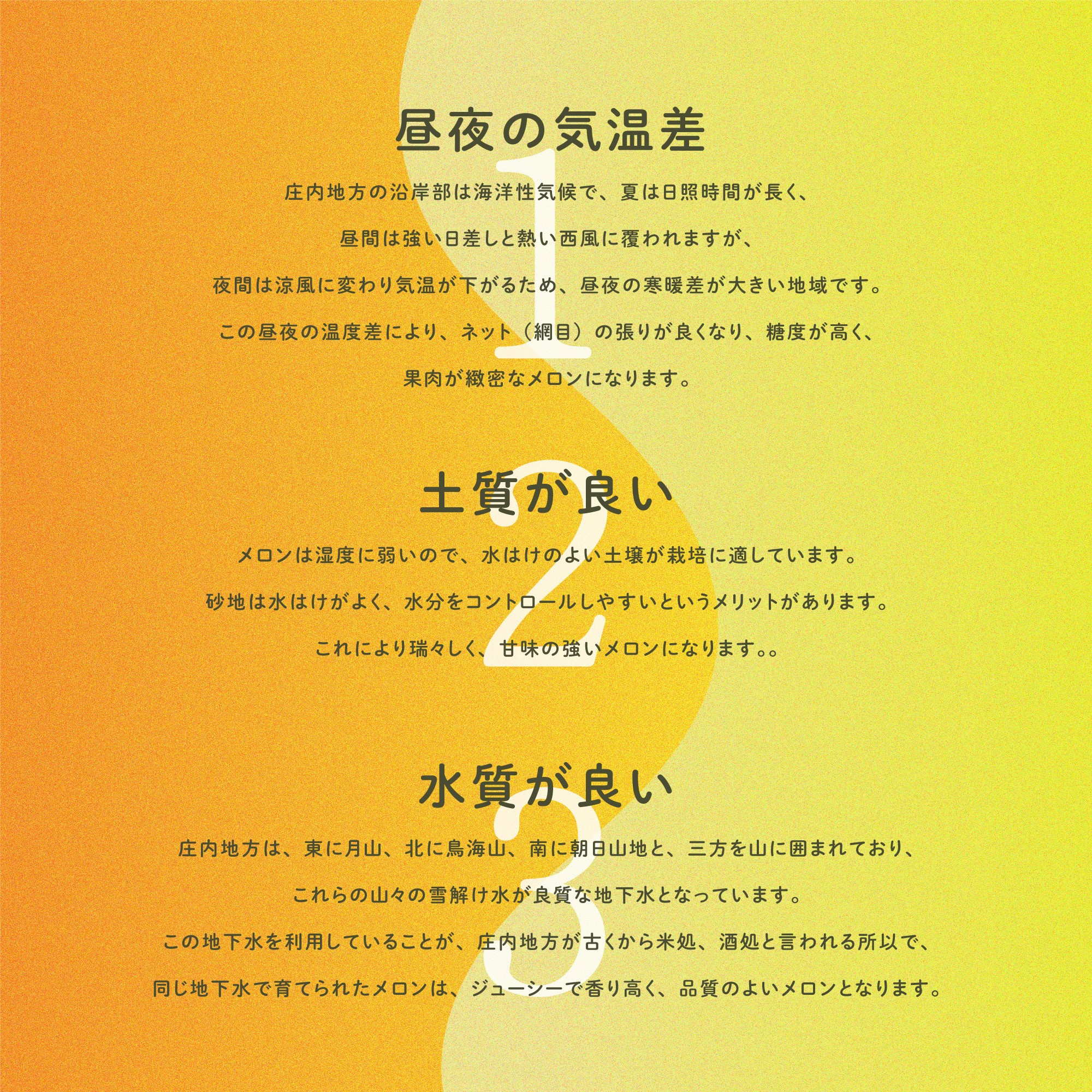 美味しいメロンが育つ理由
