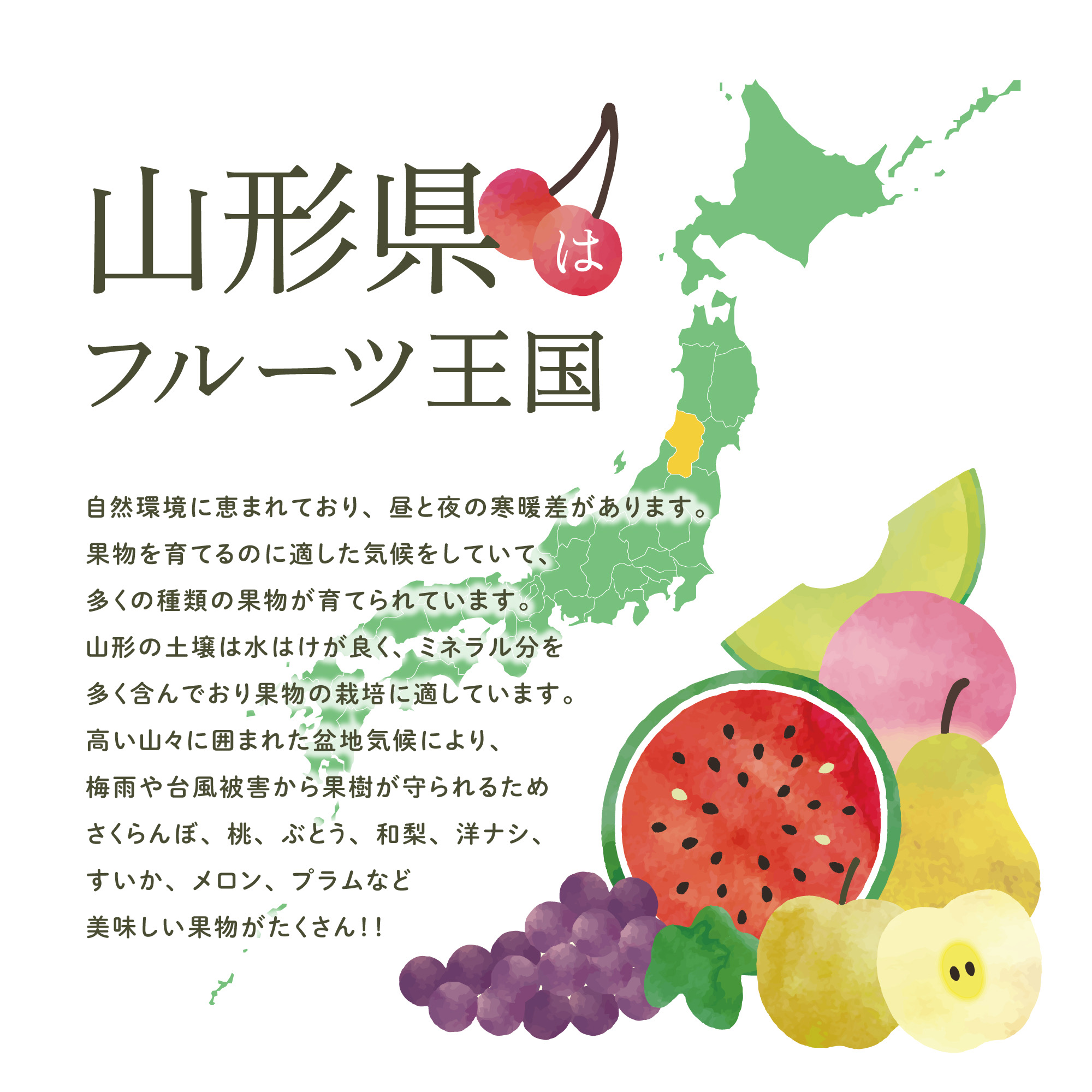 山形県はフルーツ王国