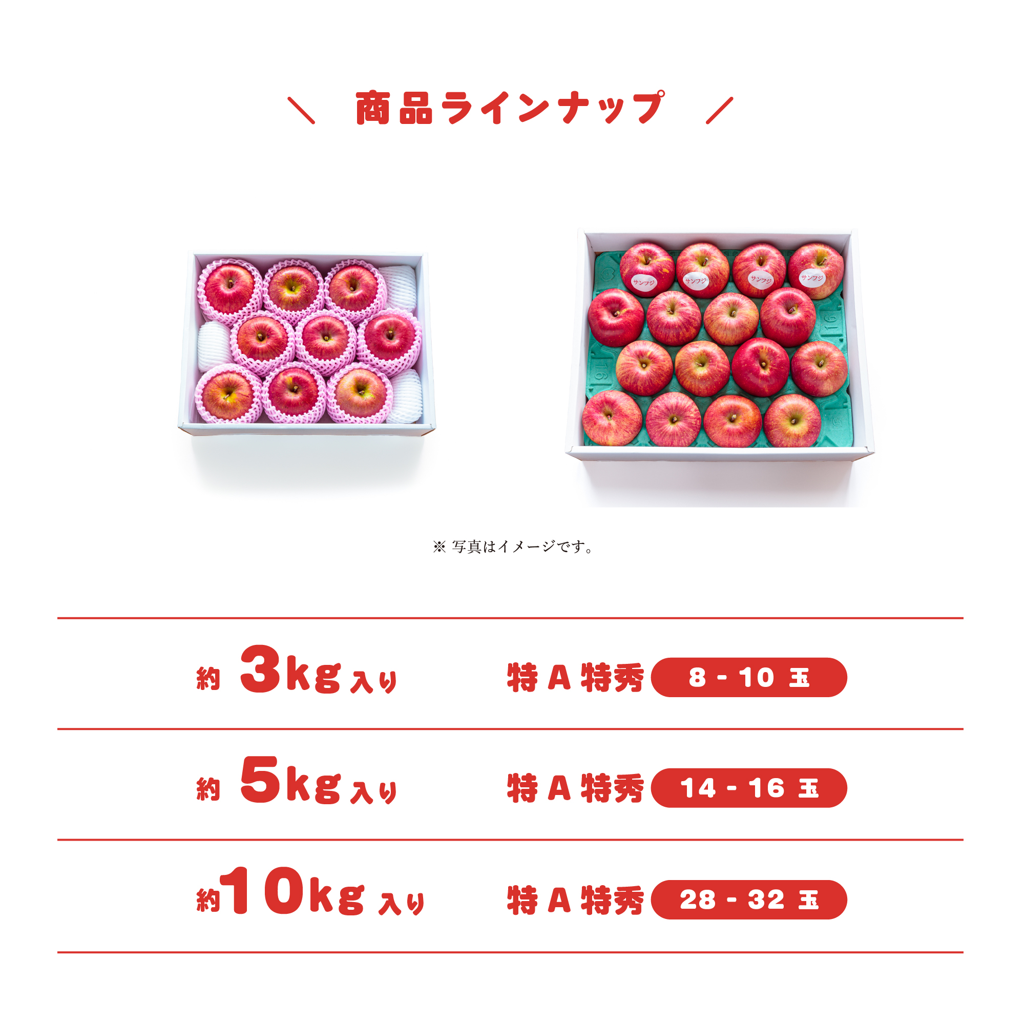 商品ラインナップ