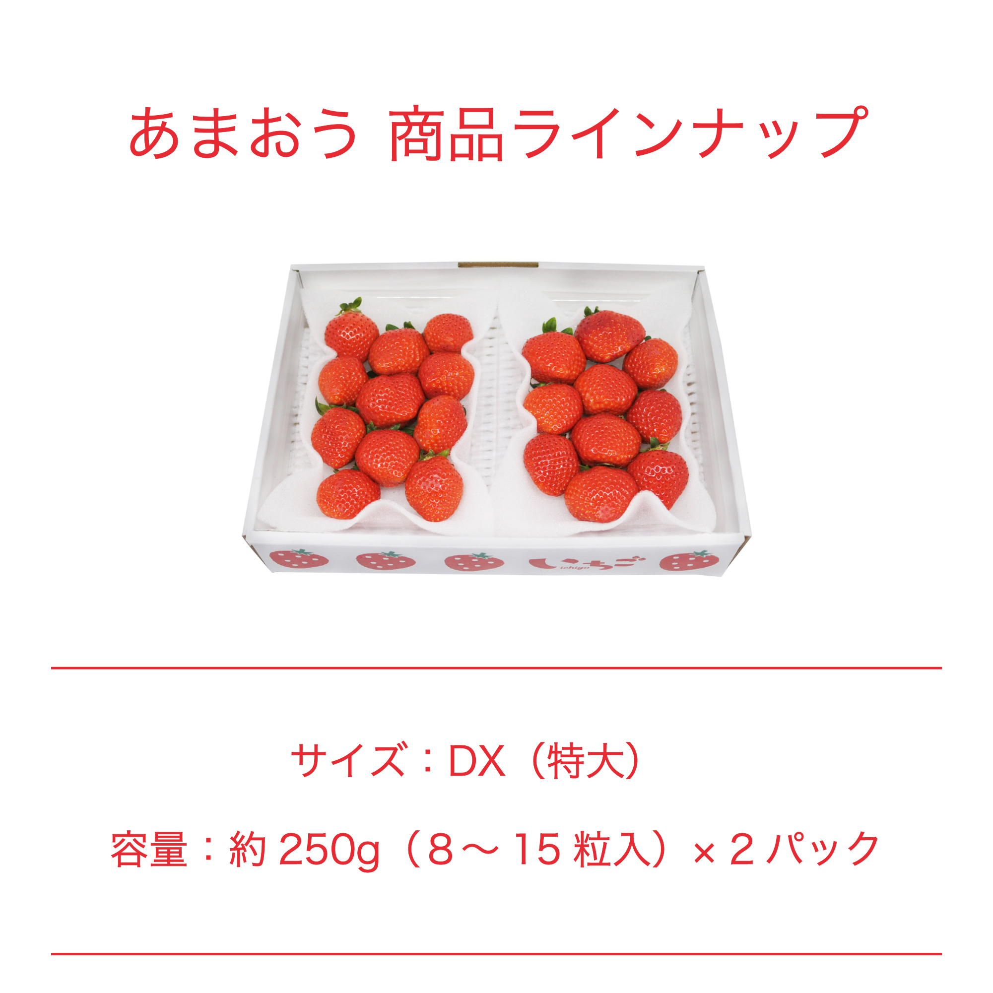 福岡産のあまおうが新登場！大粒で甘いいちごの王様をぜひご賞味ください