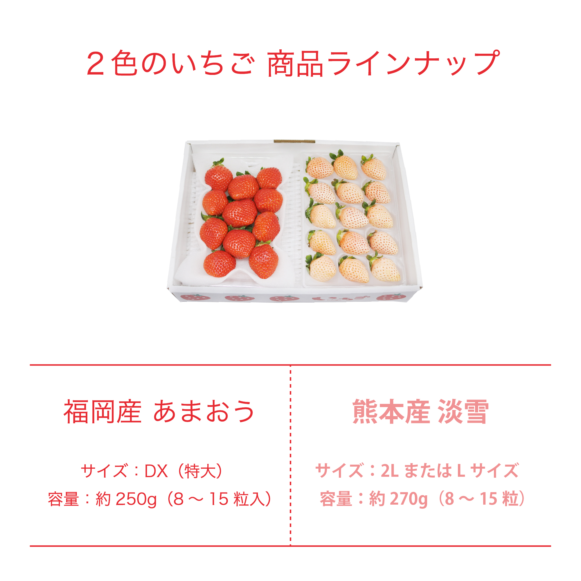 梱包イメージ