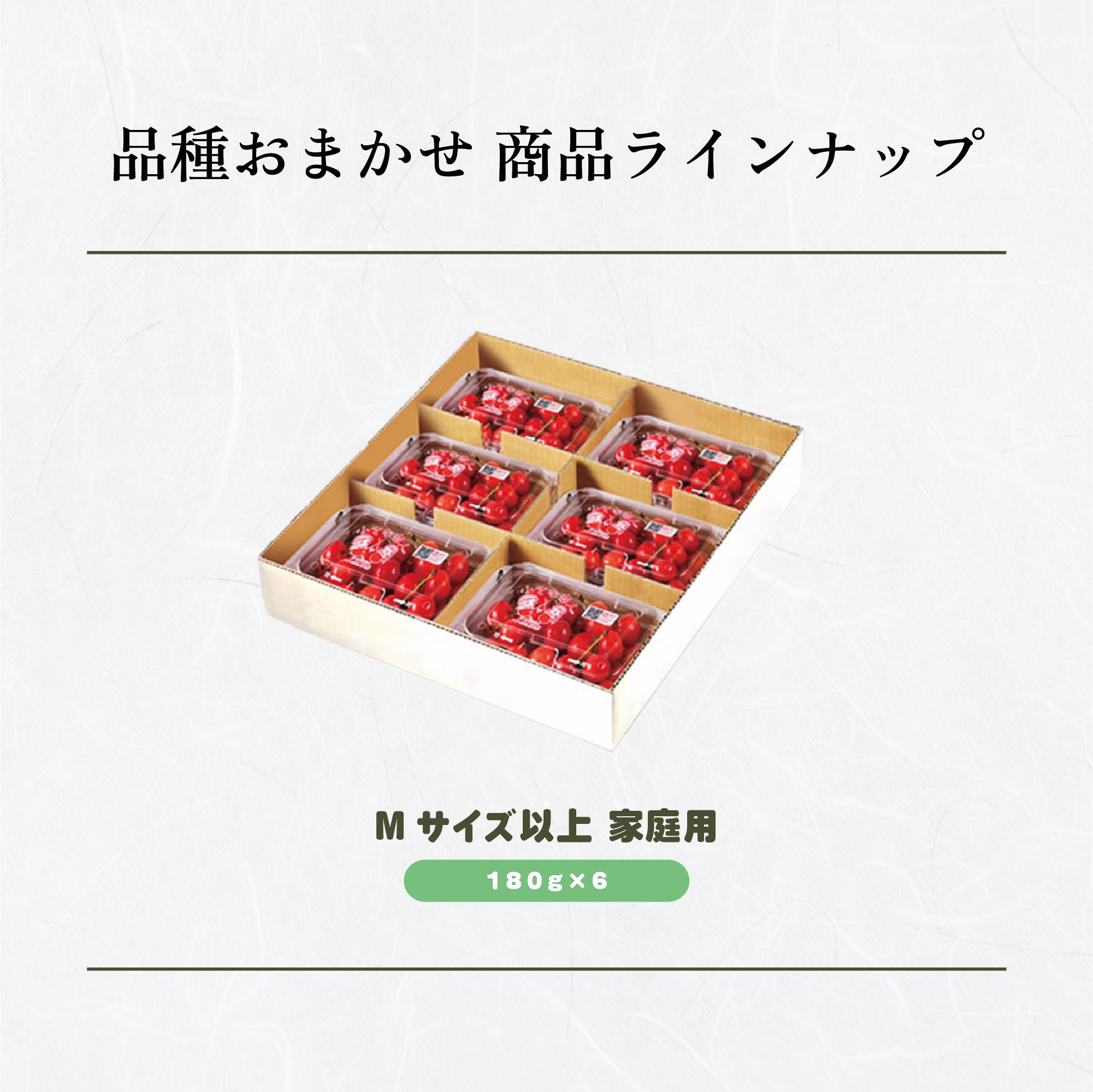 ラインナップ