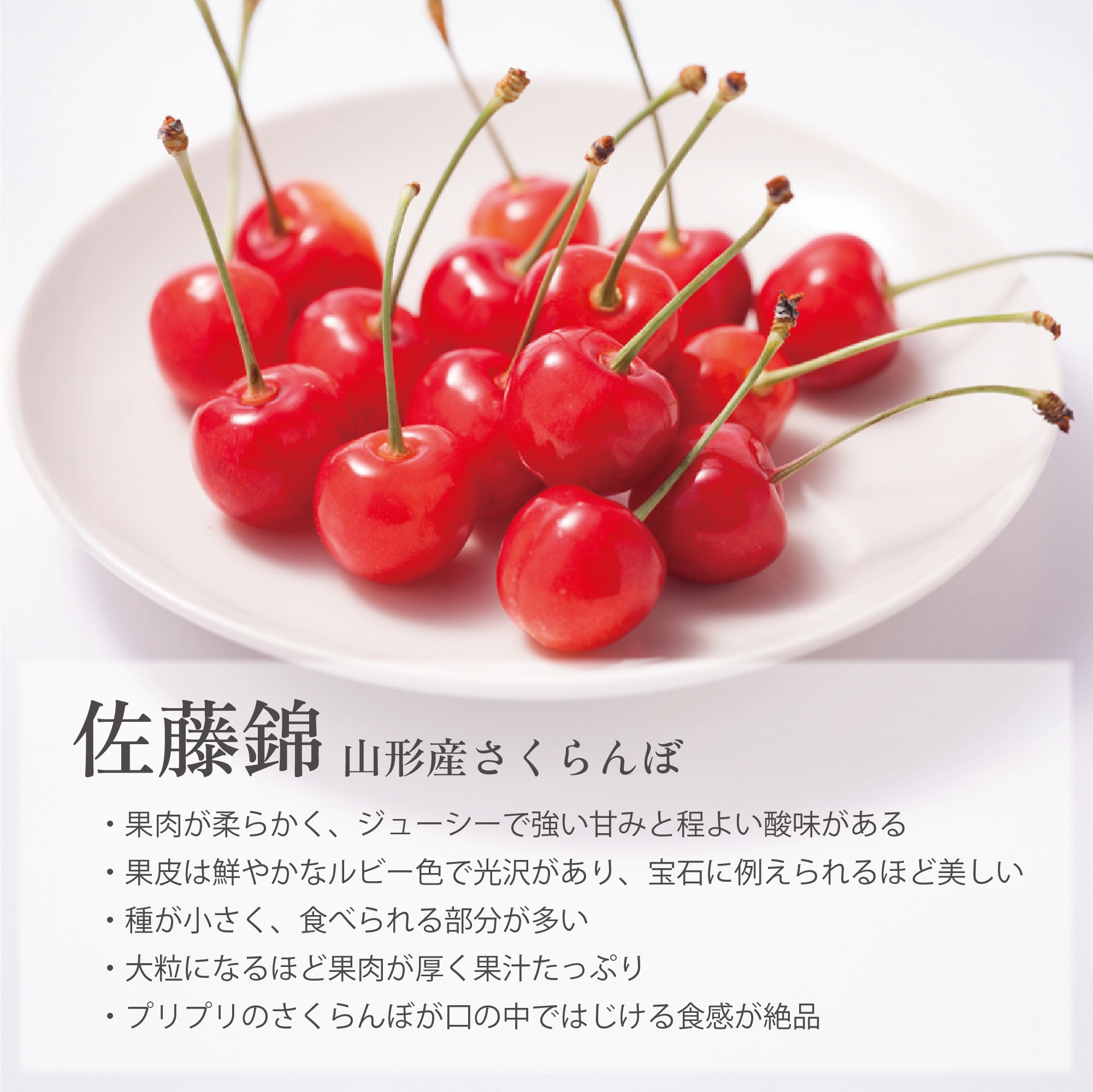 特徴