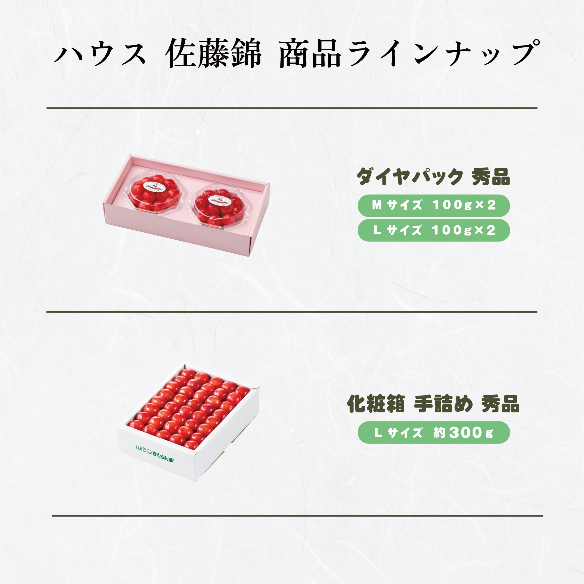 ラインナップ