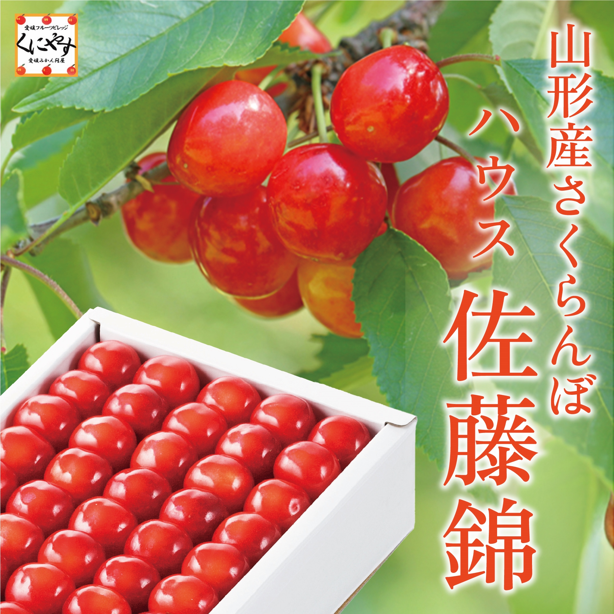 サムネ