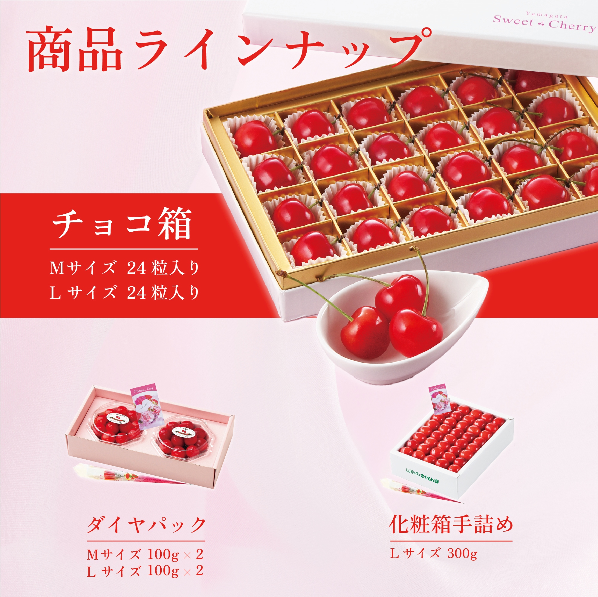 ラインナップ