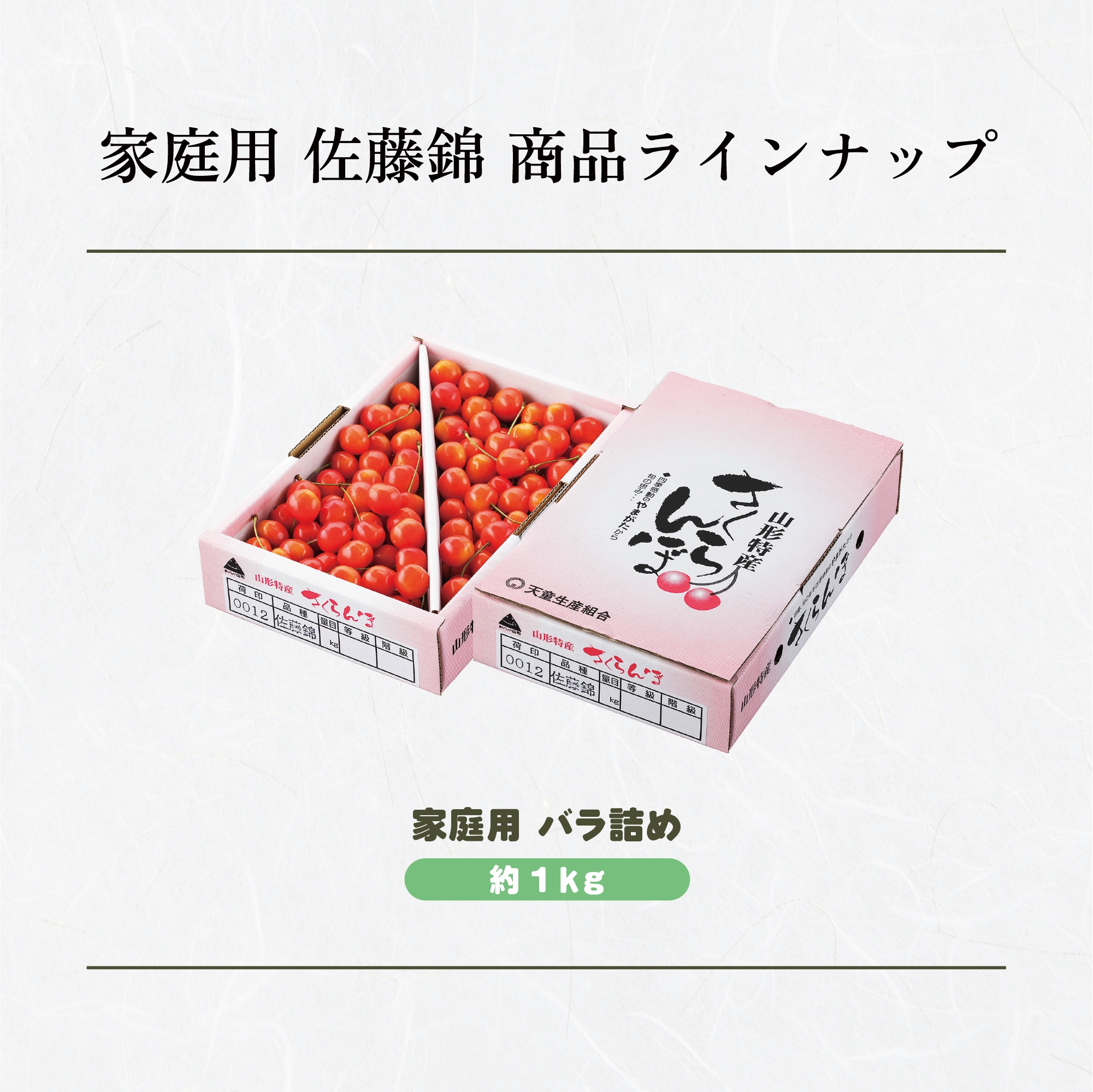 ラインナップ