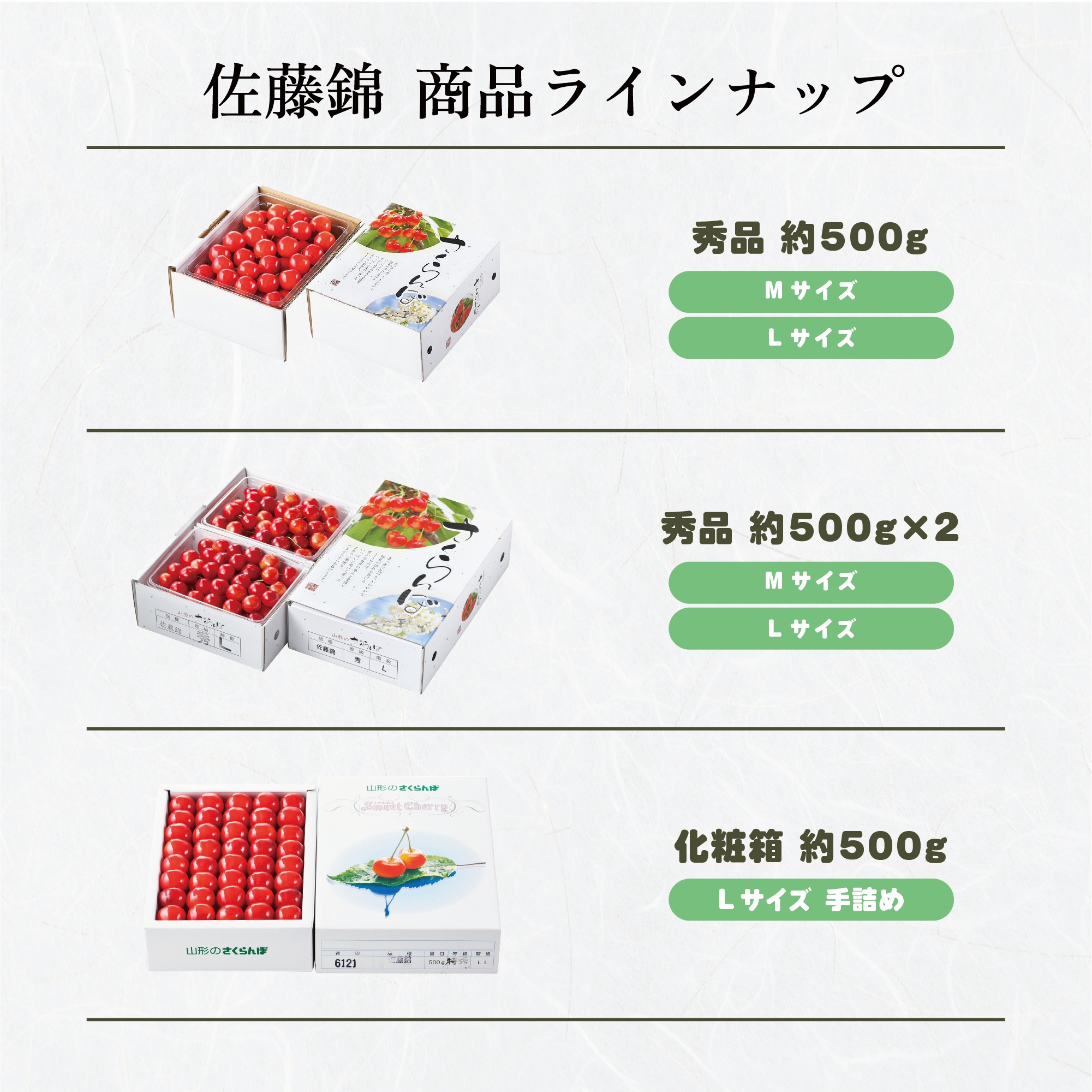 ラインナップ