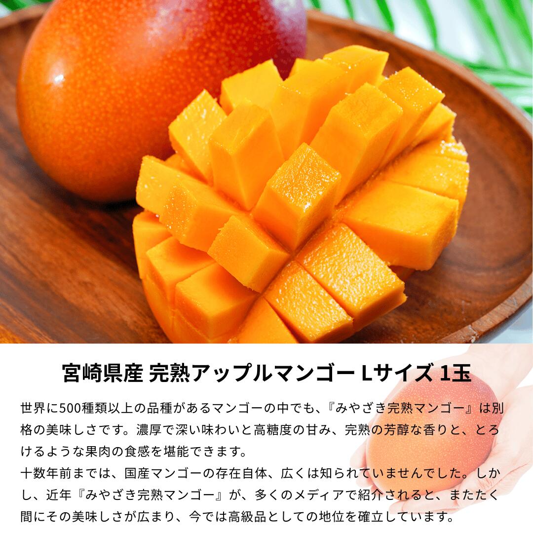 宮崎県産マンゴー