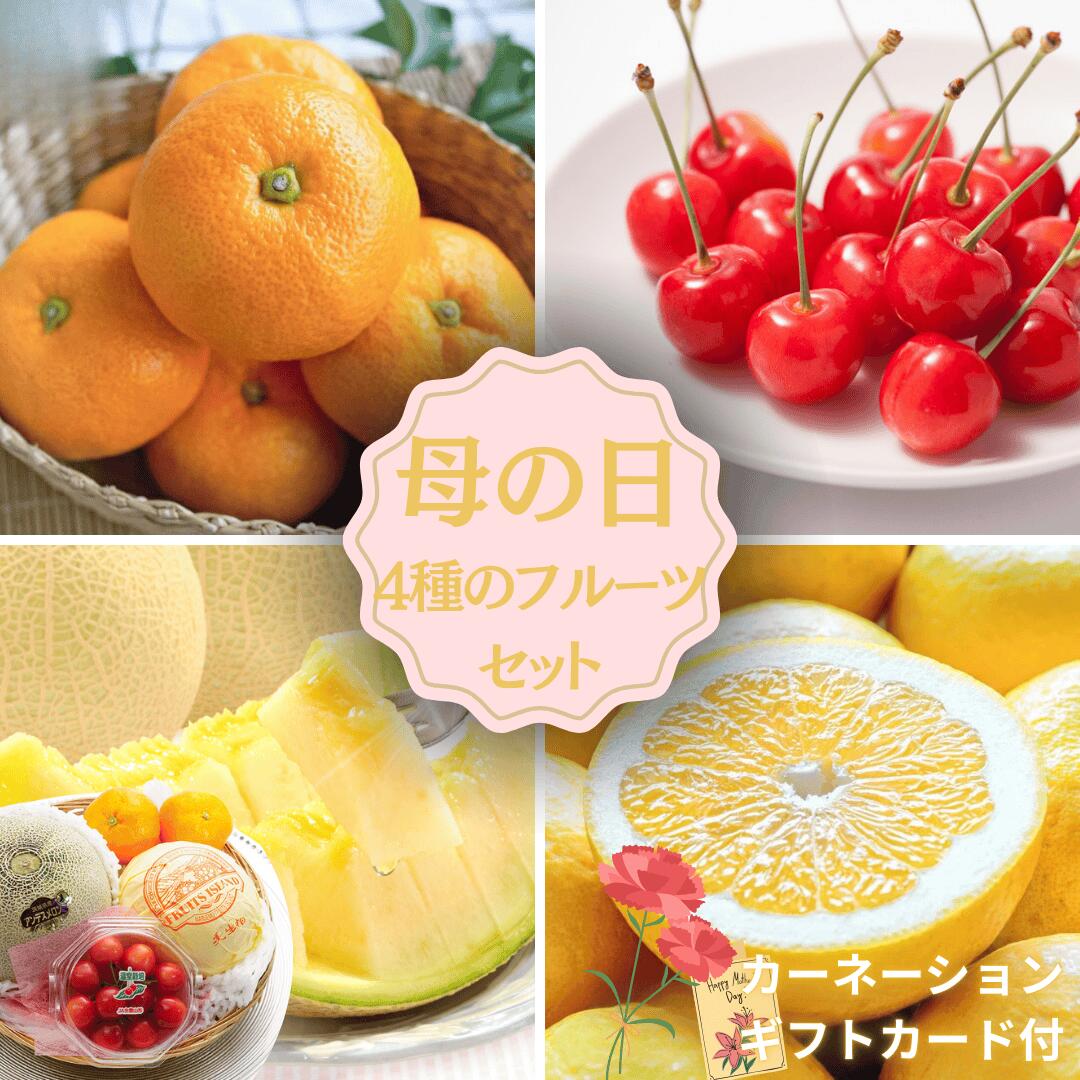 フルーツセット