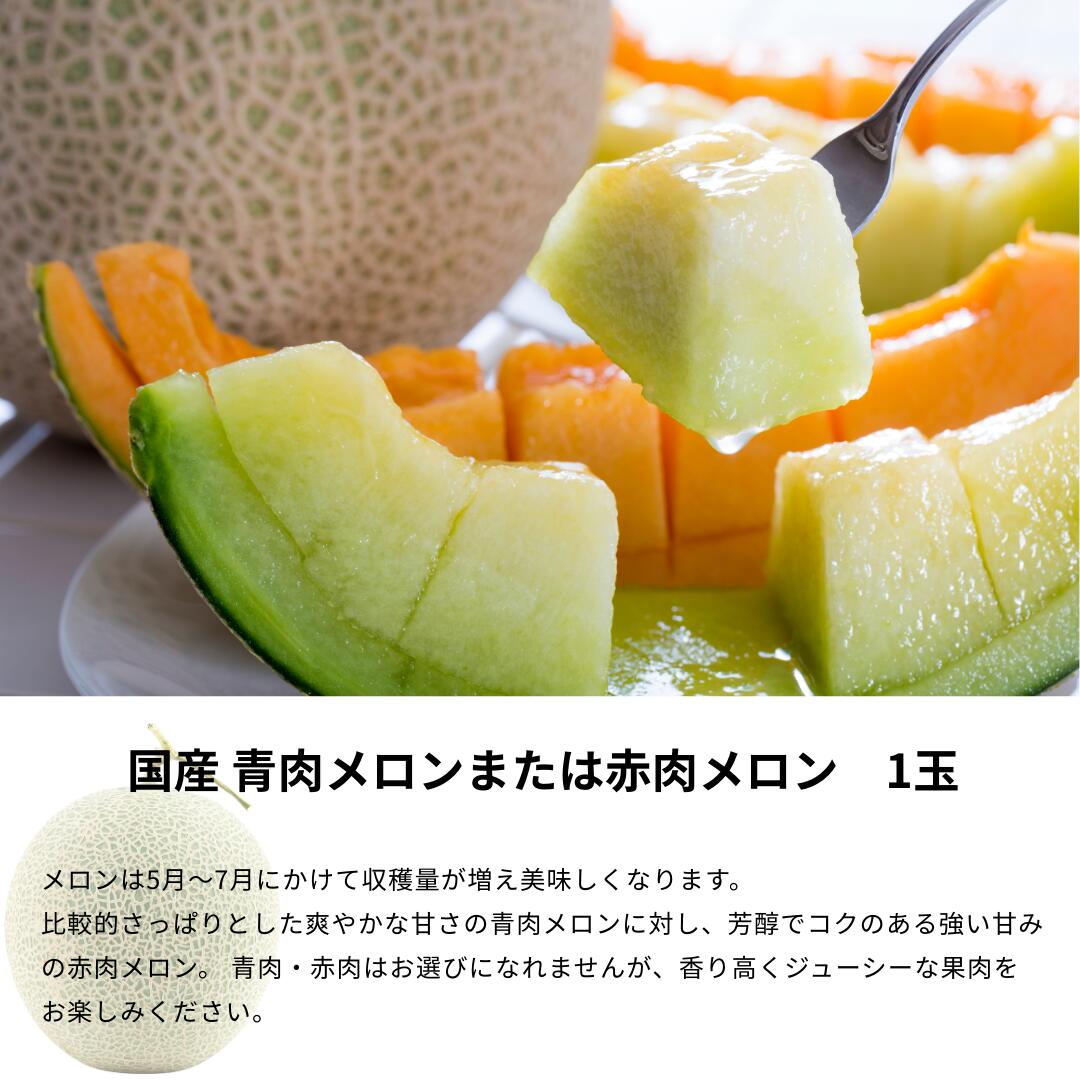 国産メロン