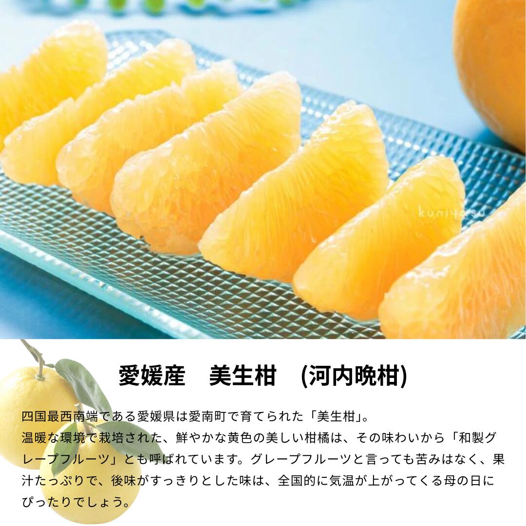 愛媛産美生柑
