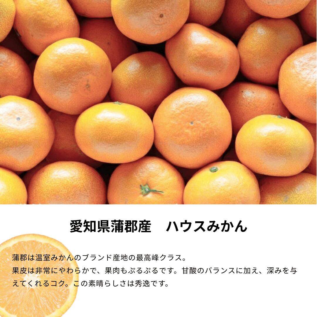 ハウスみかん