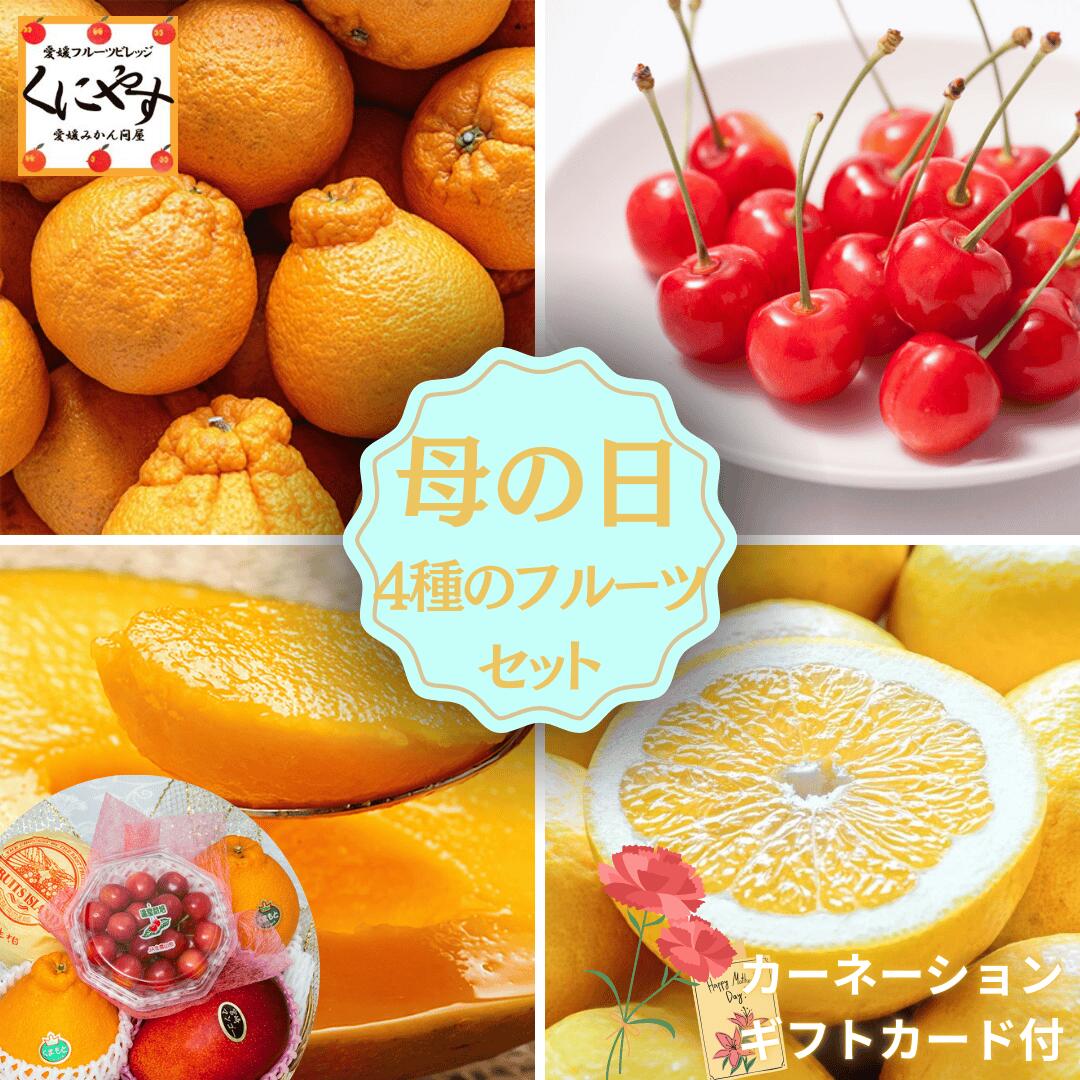フルーツセット