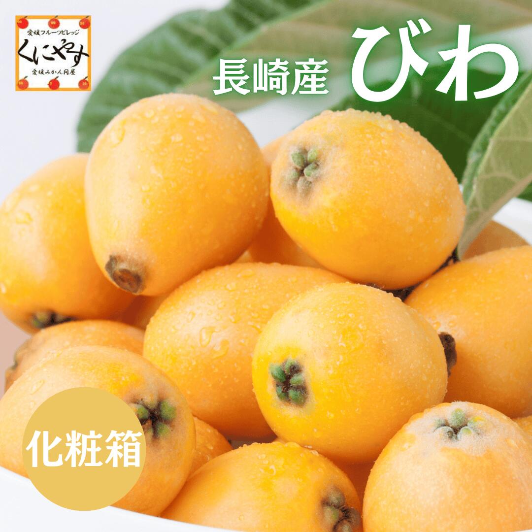 長崎県産びわ