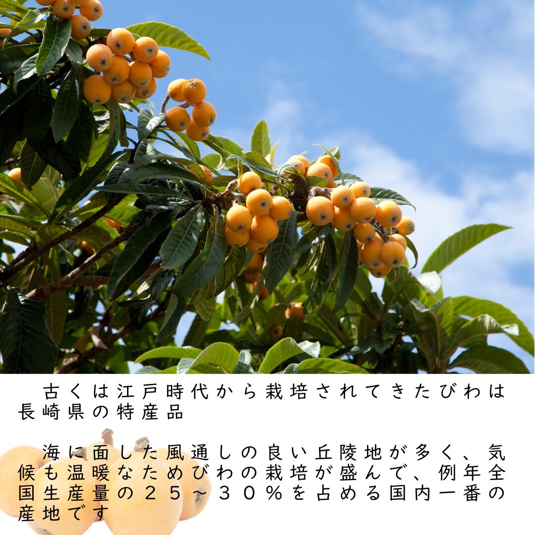 長崎の特産品
