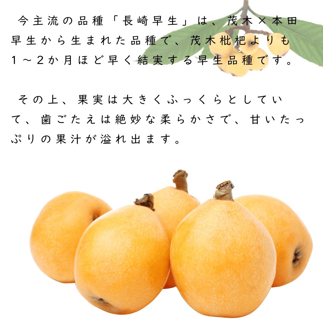 特徴