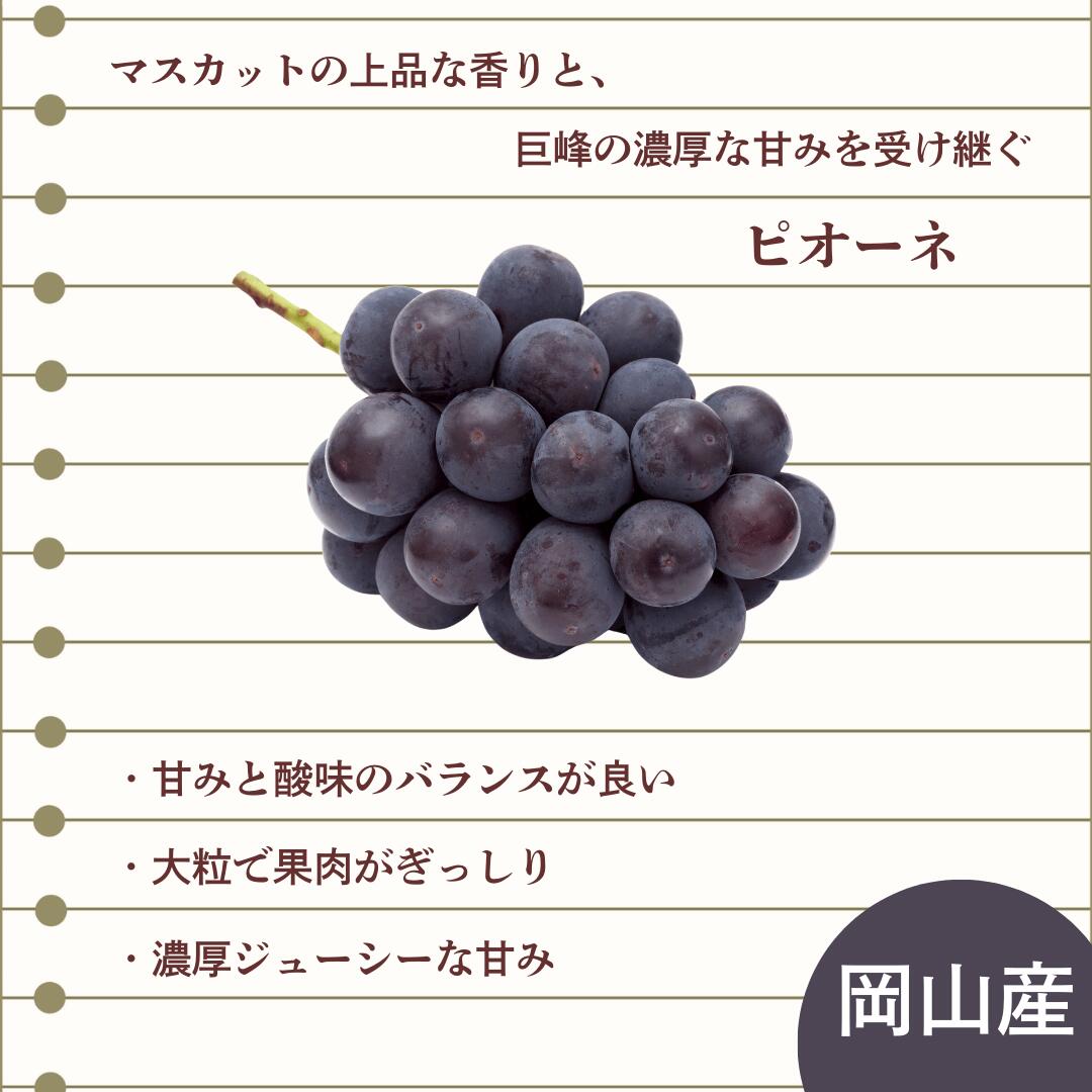 ピオーネ説明4