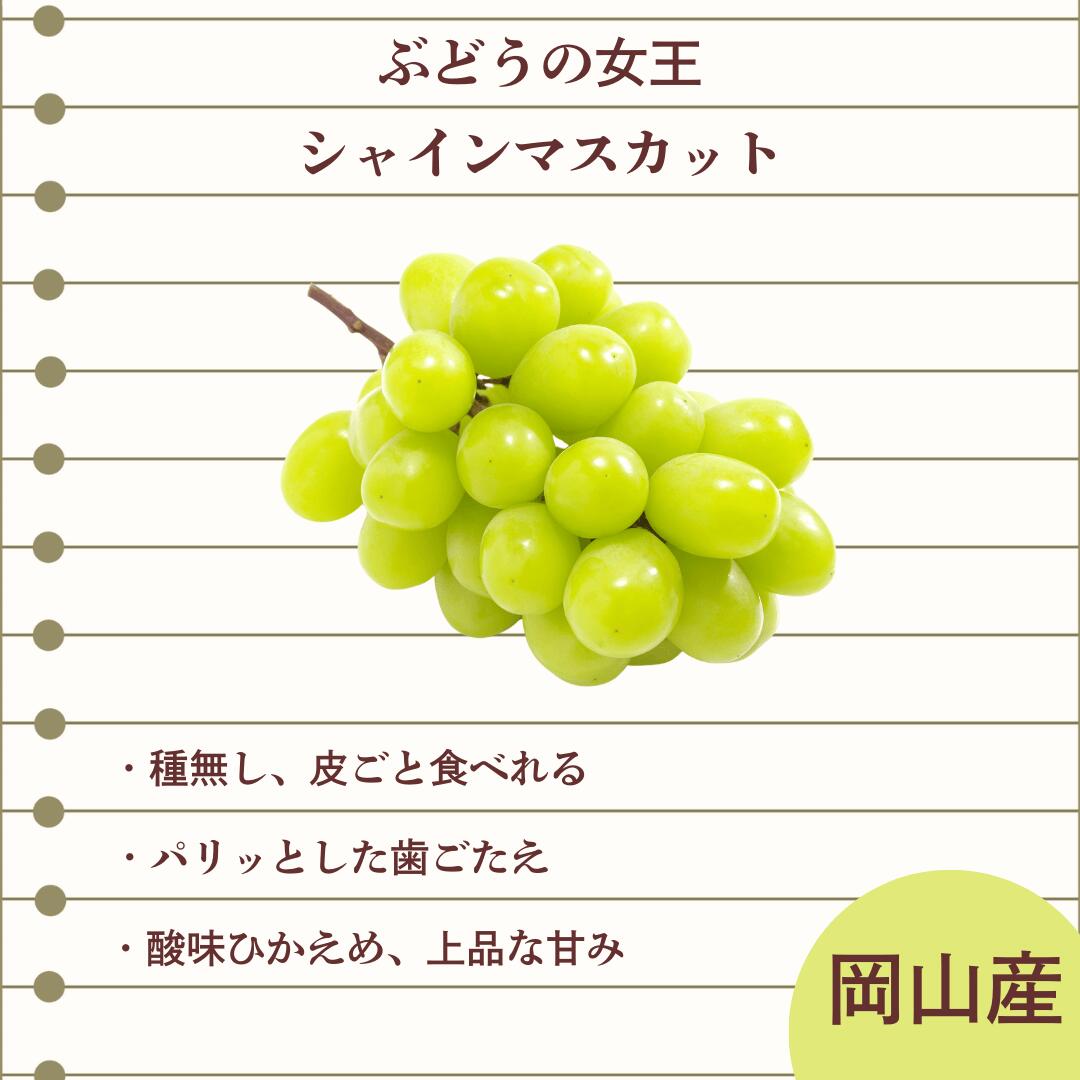 シャイン説明3