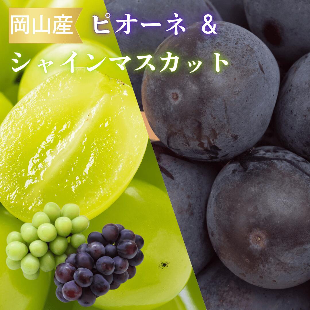 ピオーネ シャイン 1