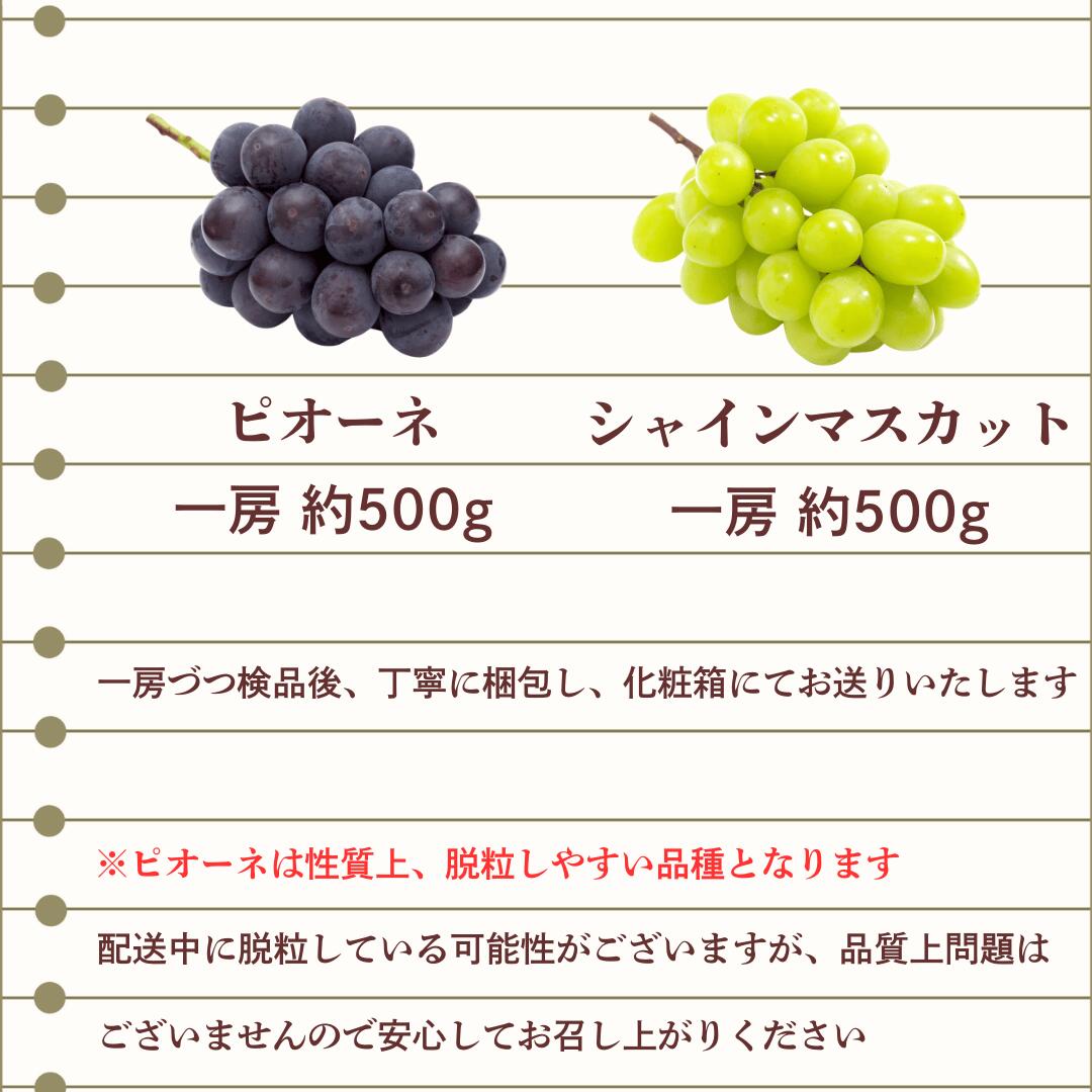 ピオーネ シャイン5