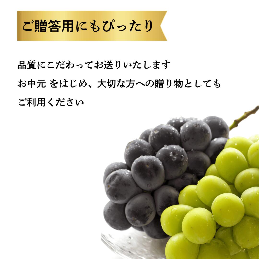 ピオーネ シャイン8