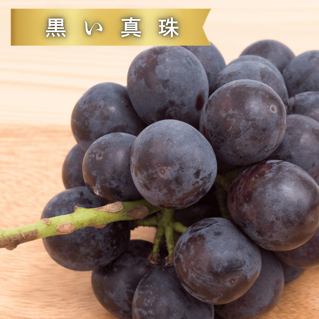 黒い真珠