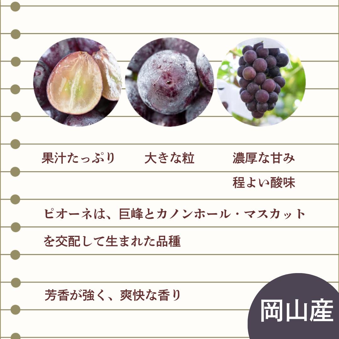 ピオーネの特徴2