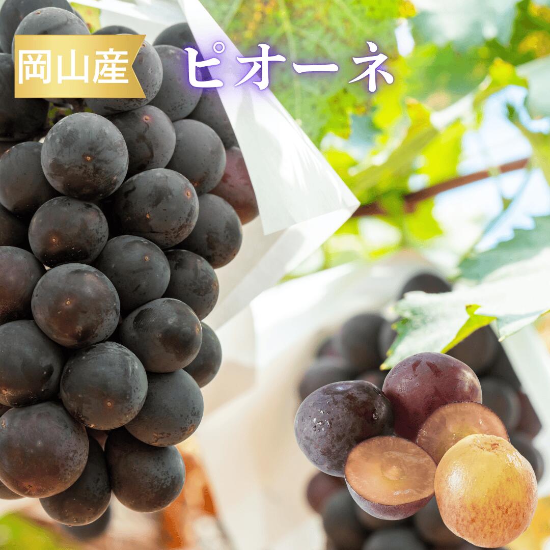 ピオーネイメージ