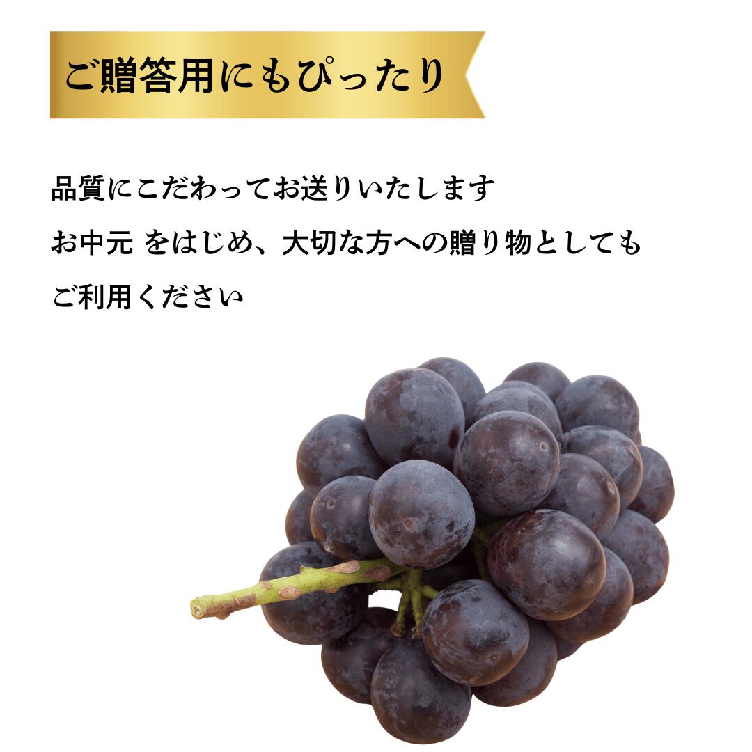 ギフトにもオススメ