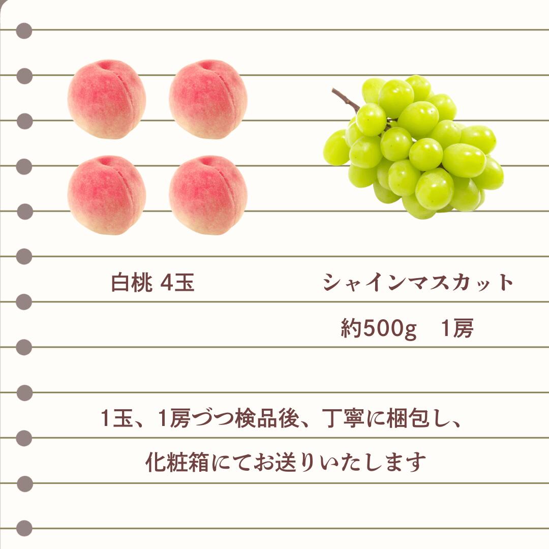 梱包内容