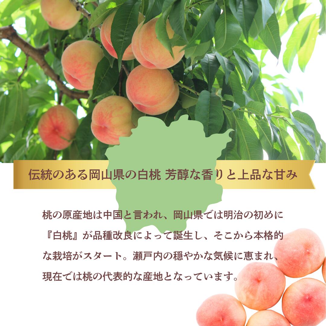 白桃について