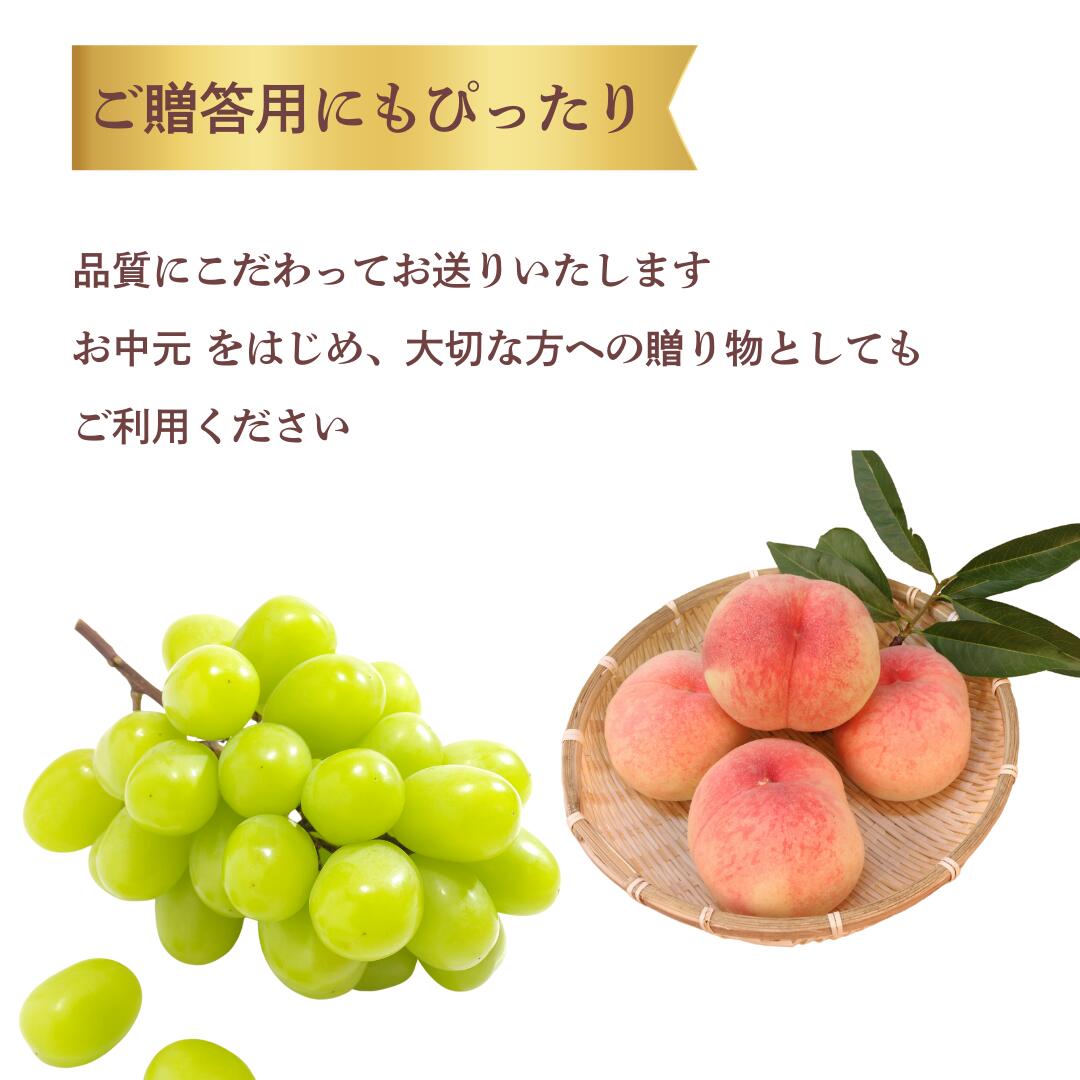 ギフトにもおすすめ