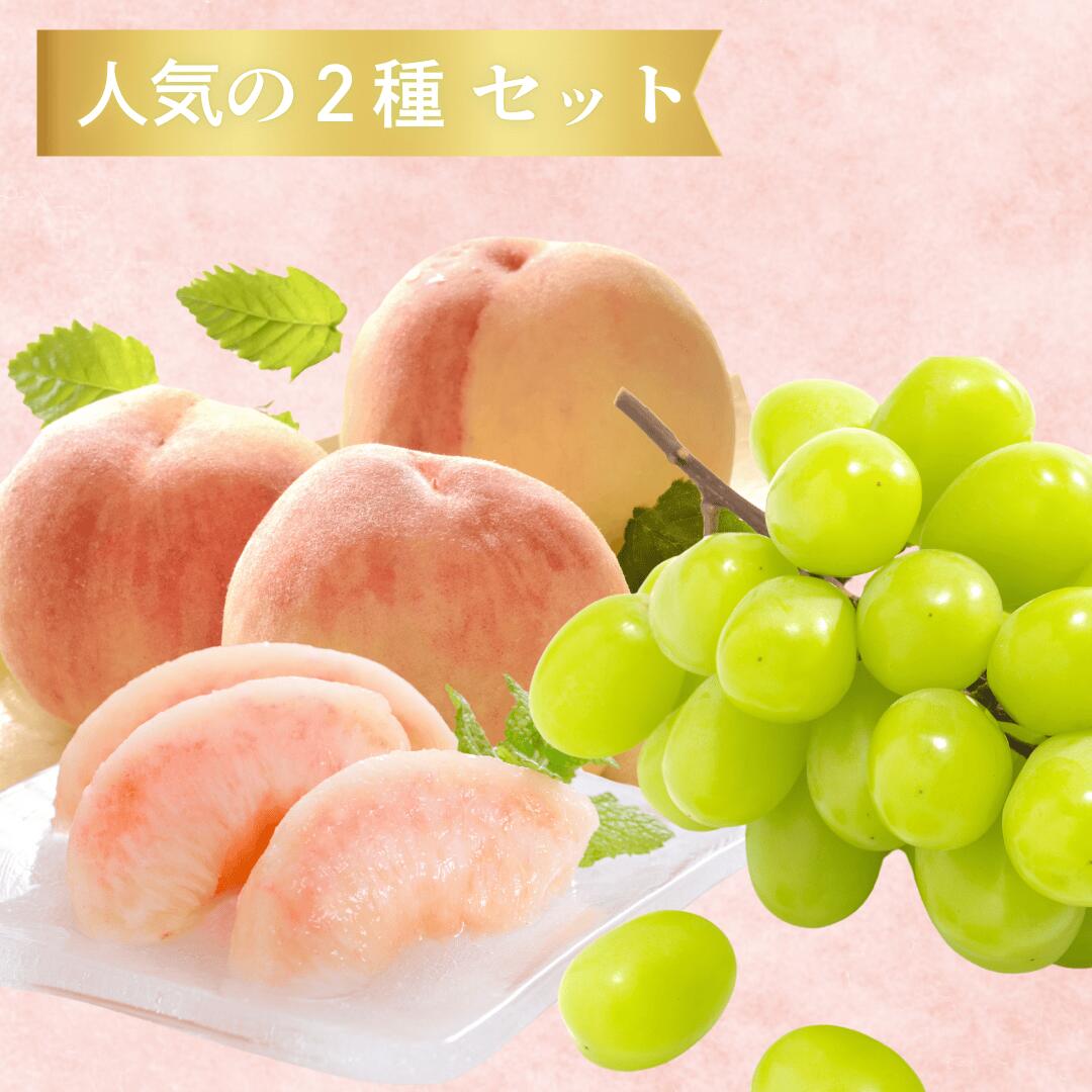 人気の2種セット