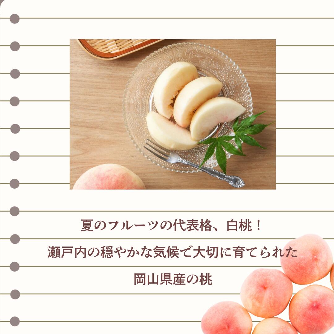 白桃の特徴