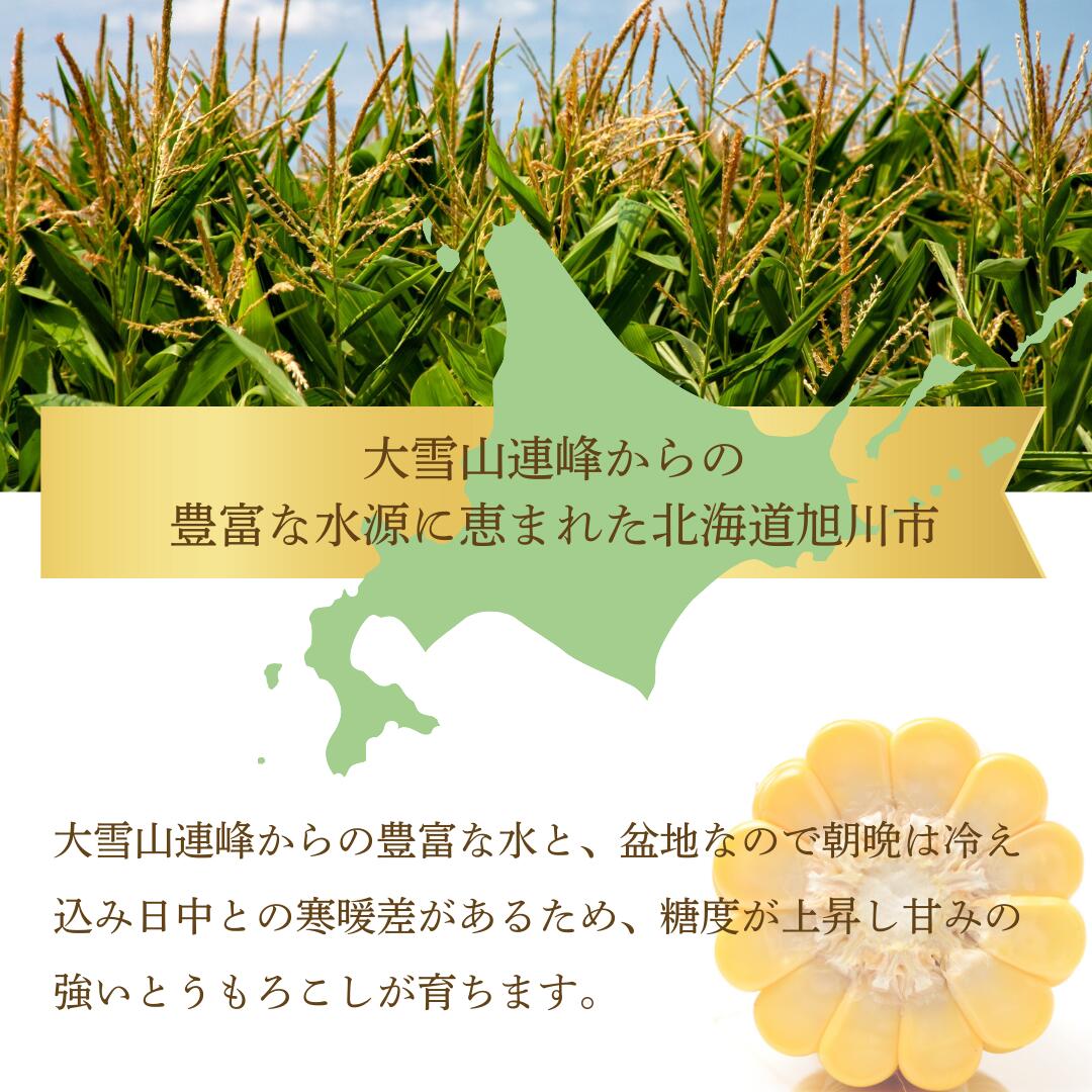 産地について