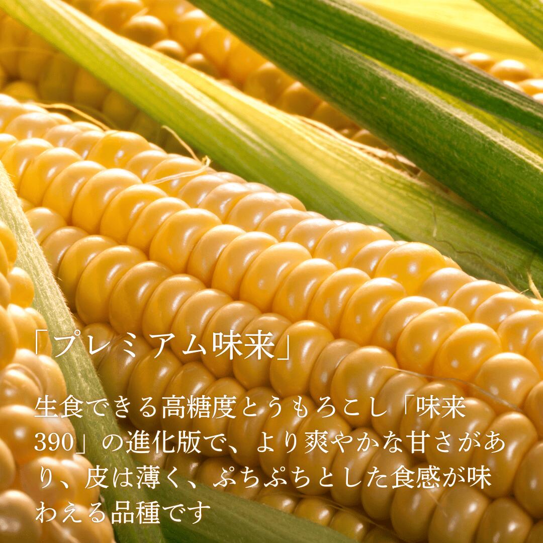 プレミアム味来について
