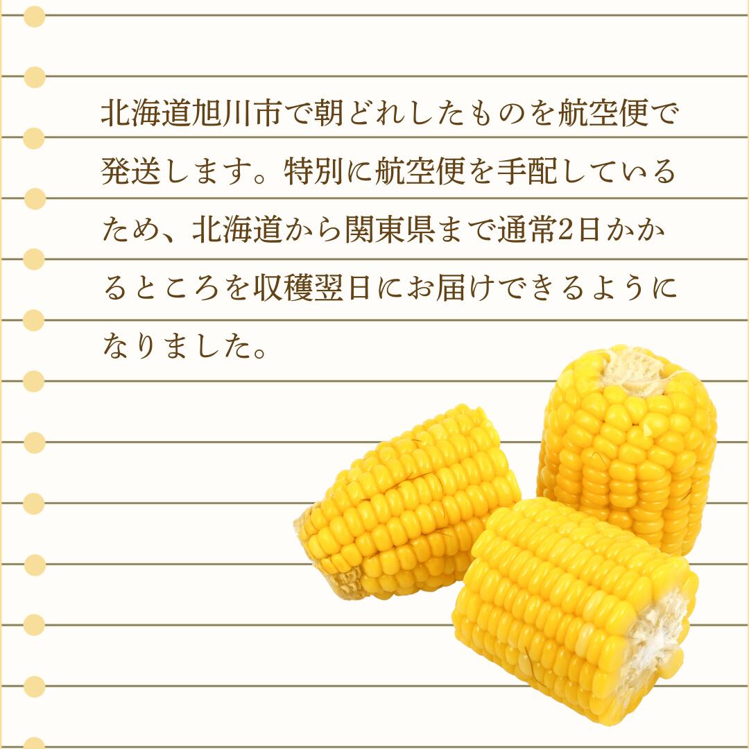 新鮮さの秘訣2