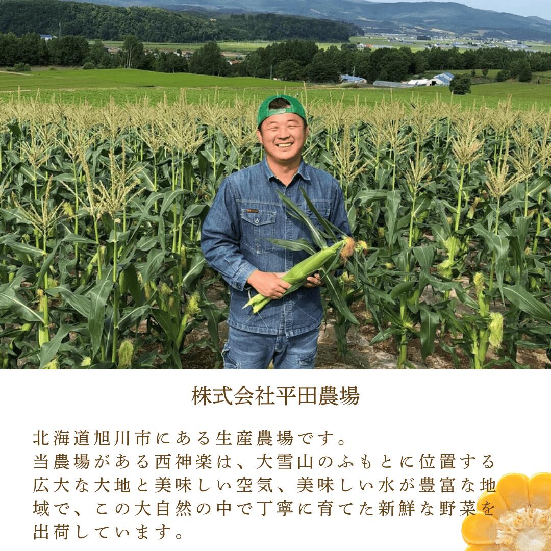 平田農場について