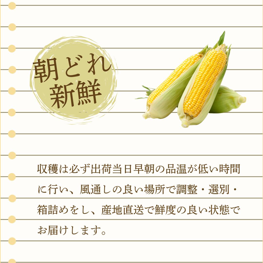 新鮮さの秘訣1