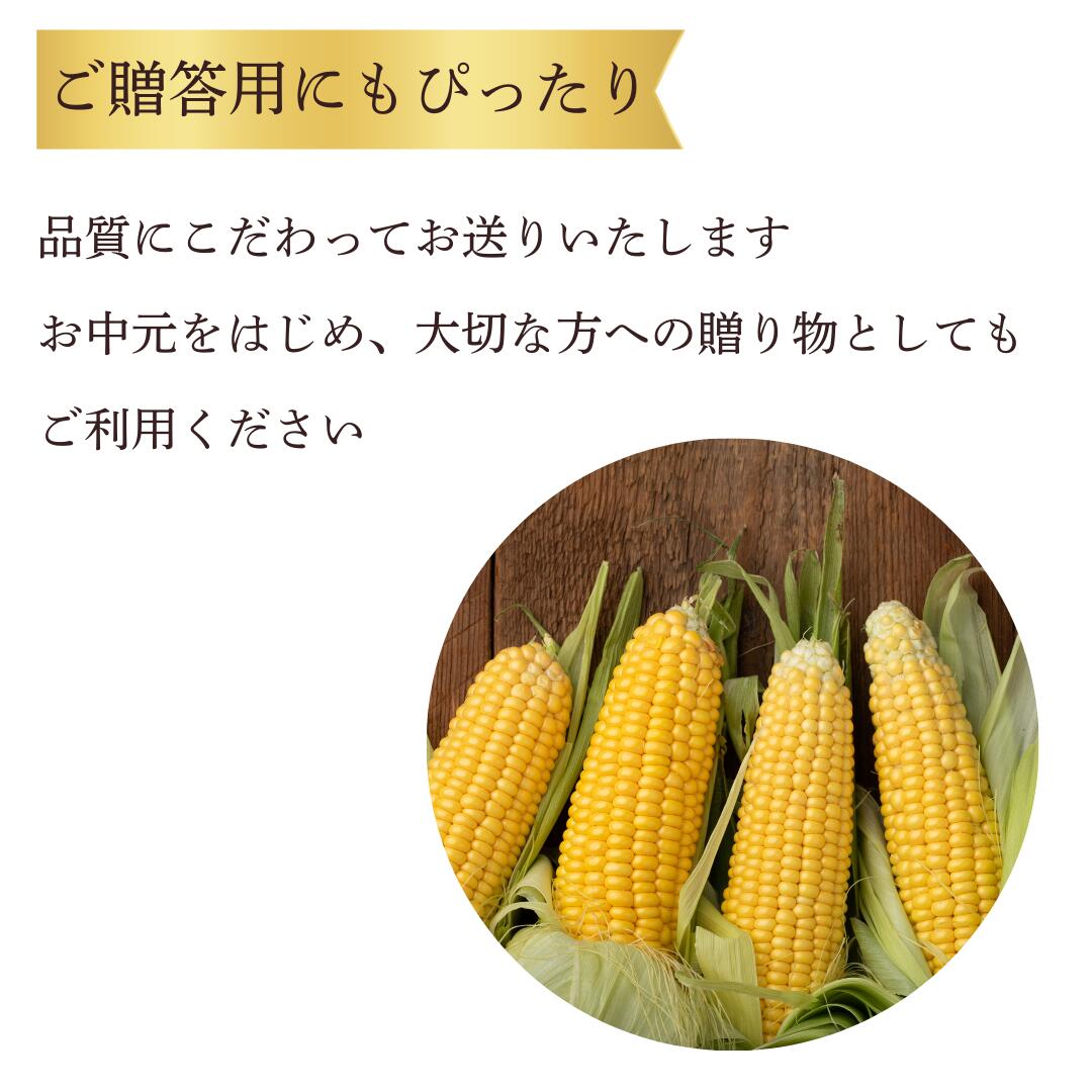 ギフトにもオススメ