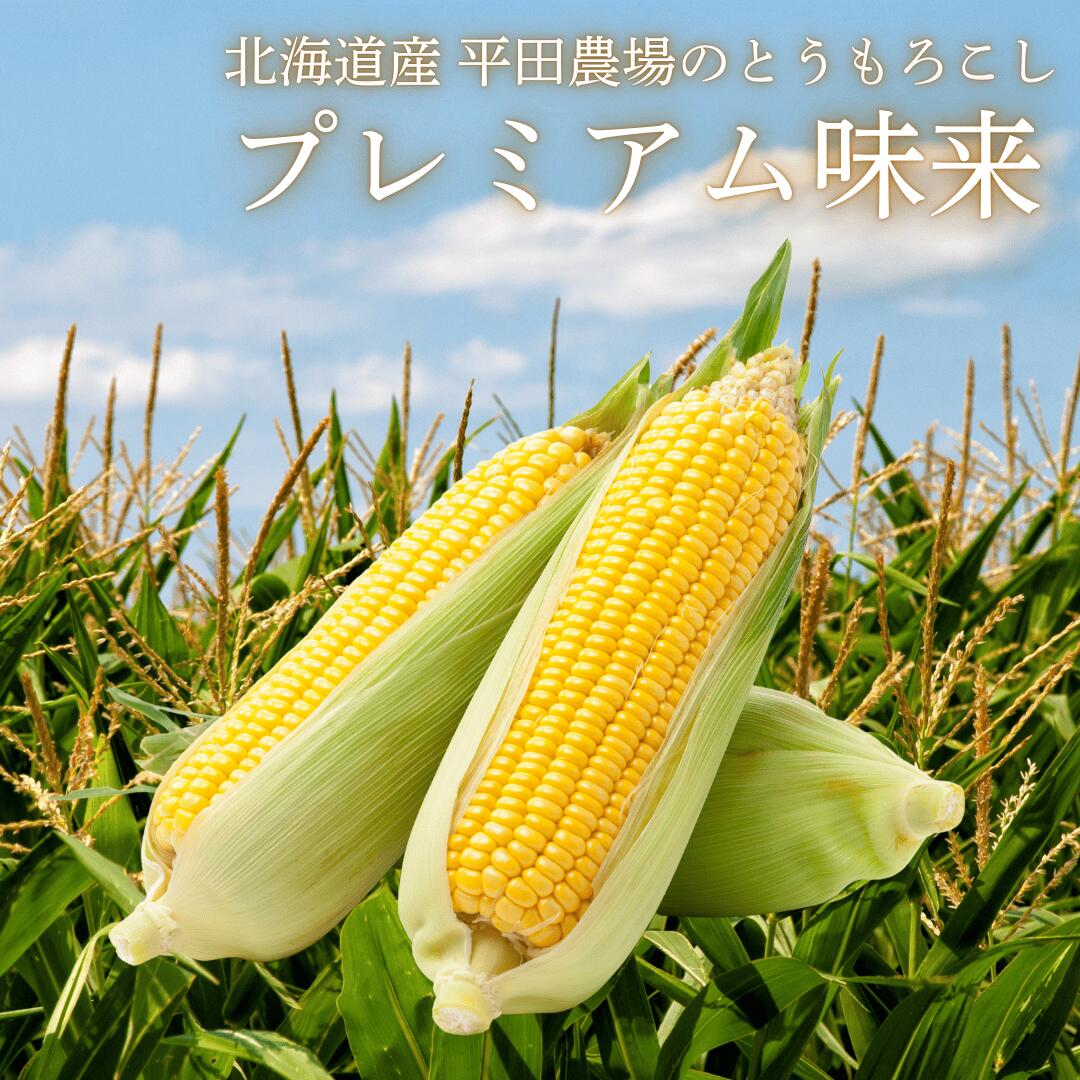 プレミアム味来イメージ