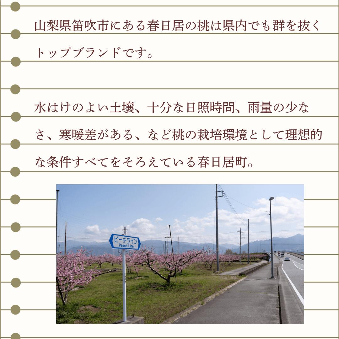産地・春日居について